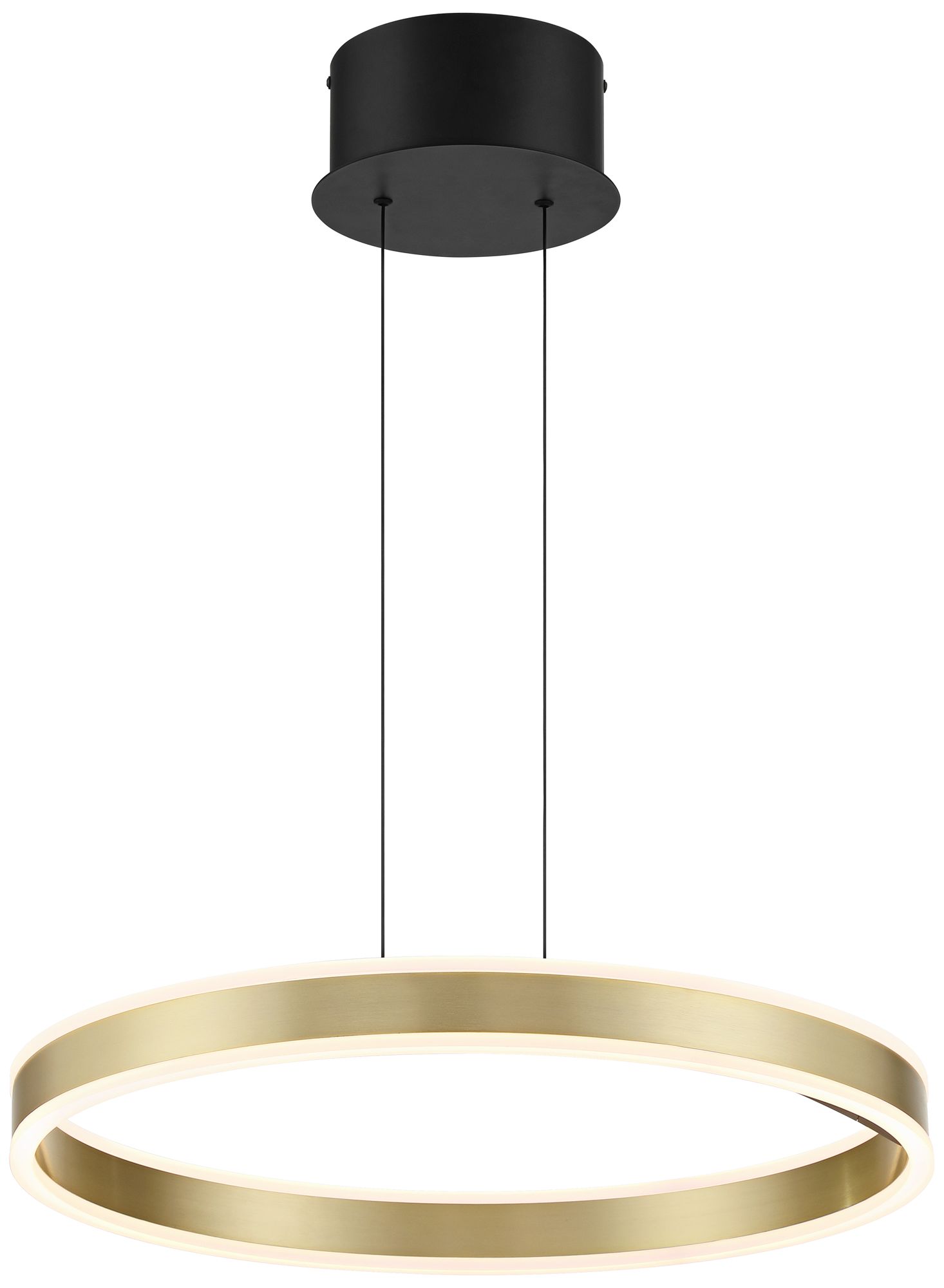 Watch A Video About the Eliza Matte Black Antique Brass LED Ring Pendant Light