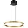 Watch A Video About the Eliza Matte Black Antique Brass LED Ring Pendant Light