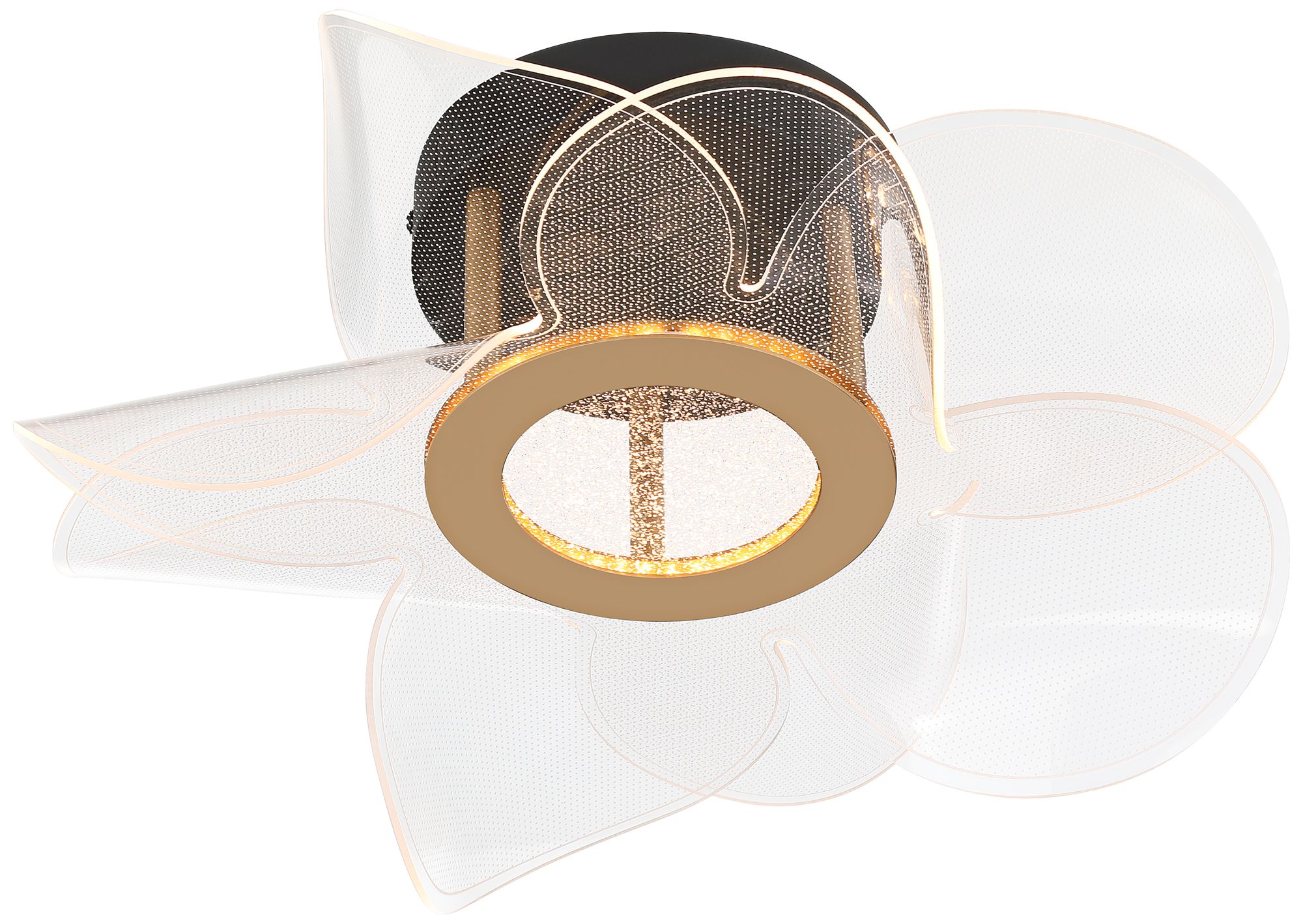 Watch A Video About the Etherea Sand Black and Gold LED Ceiling Light
