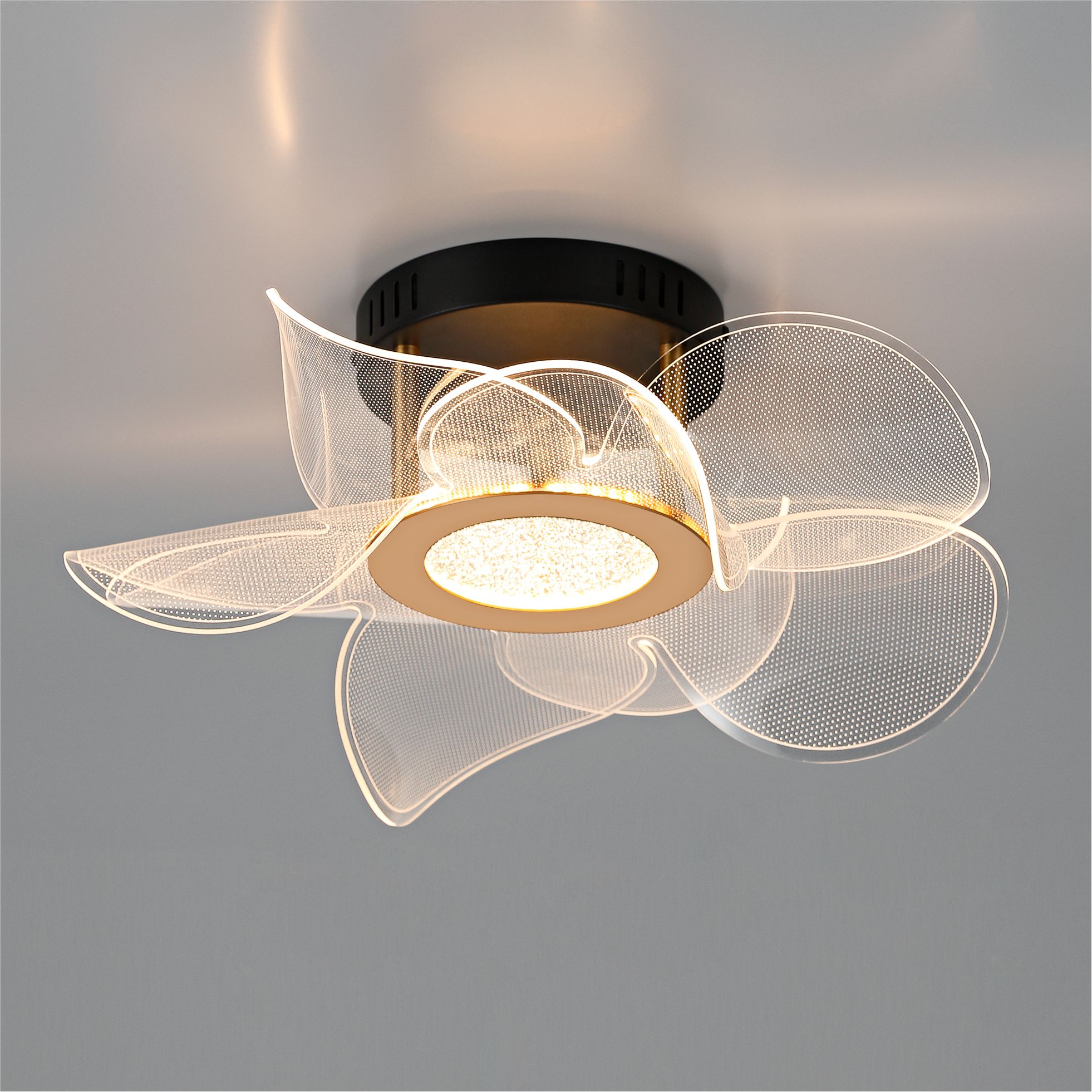 Watch A Video About the Etherea Sand Black and Gold LED Ceiling Light