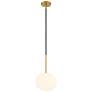 Watch A Video About the Possini Euro Gwynn Black and Gold Mini Pendant