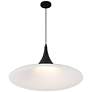 6_Possini Euro Havilund 30" Wide Matte Black Pendant Light more views