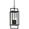 Possini Euro Jericho 24 1/4" High Black 4-Light Outdoor Hanging Light