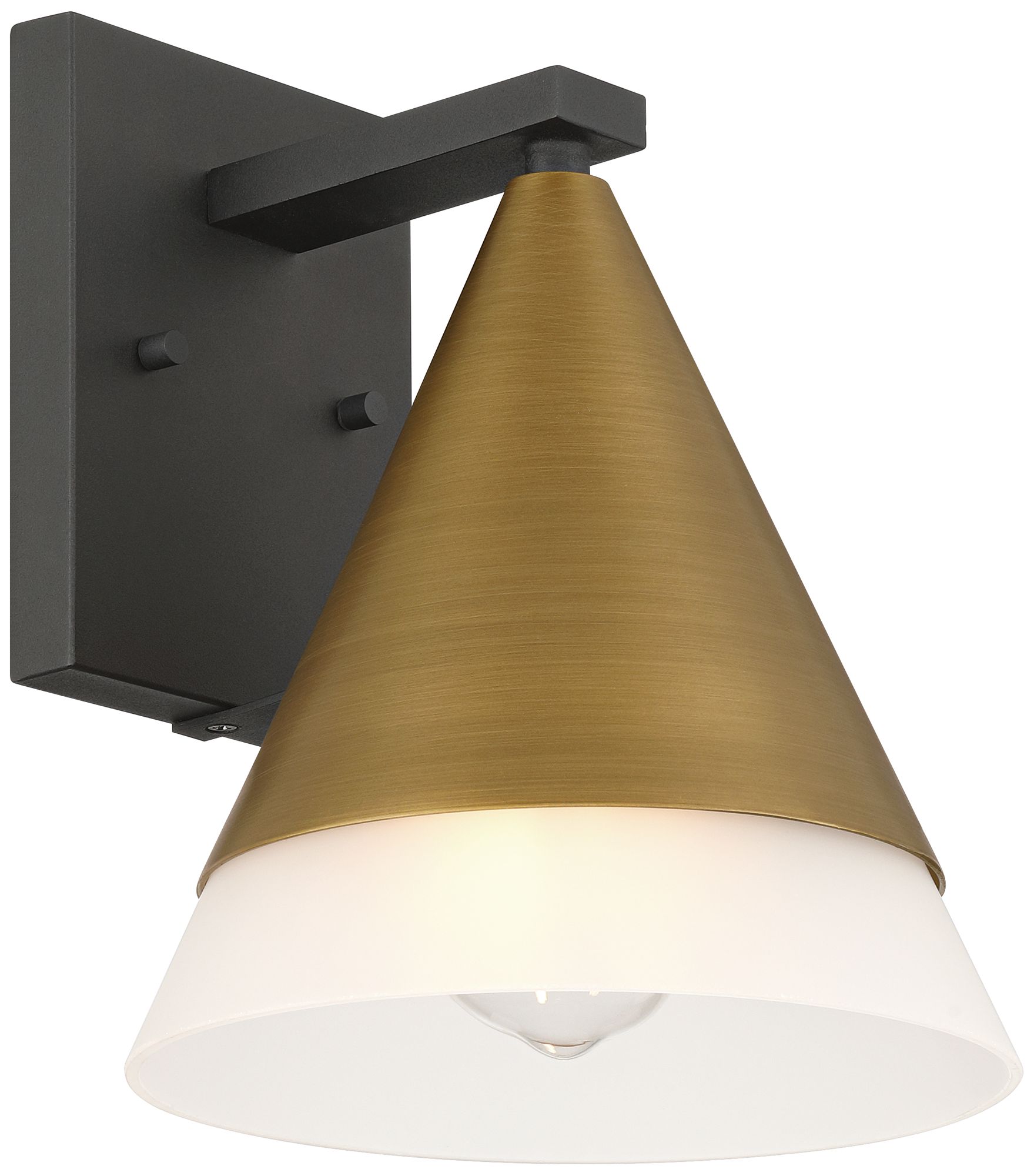 Possini Euro Leo 10"H Sand Black and Antique Brass Outdoor Wall Light