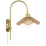 Watch A Video About the Possini Euro Primrose Brass and Sea Grass Plug-In Wall Lamp
