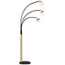 Watch A Video About the Possini Euro Rayne Warm Gold and Black 3 Light Arc Floor Lamp