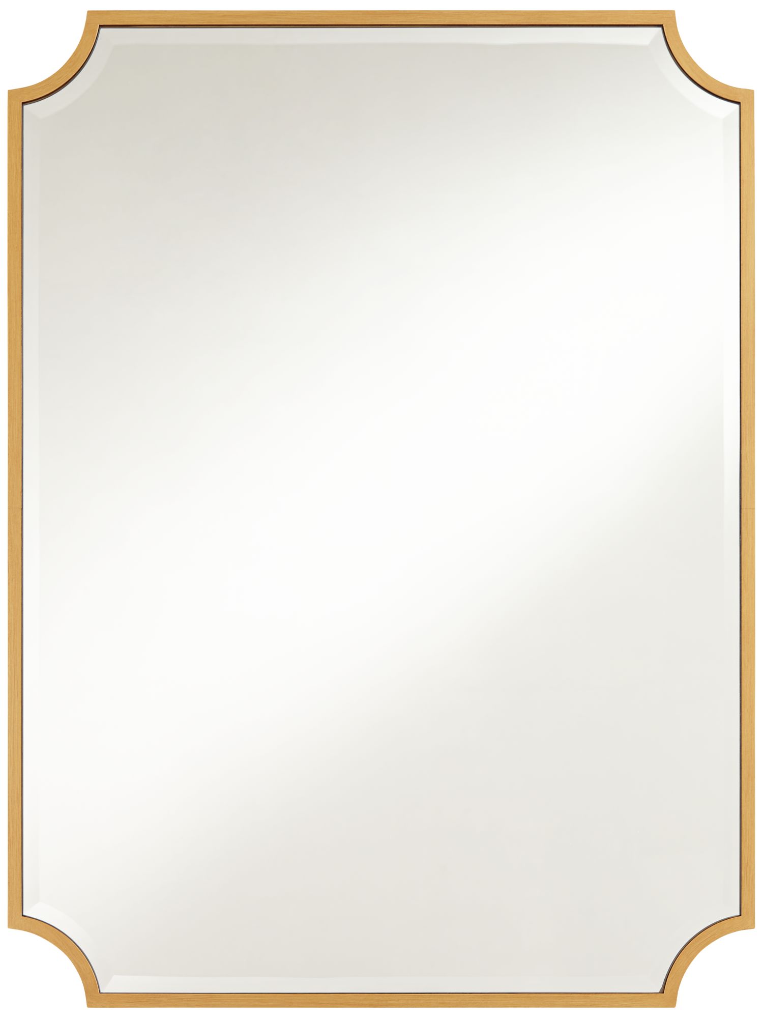 Image 3 Possini Jacinda 40" x 30" Cut Edge Ant. Gold Wall Mirror