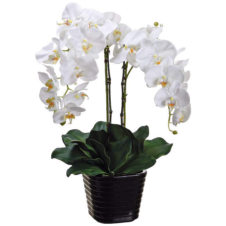 Image 1 Potted Cream Phalaenopsis 24 inch High Faux Silk Orchids