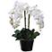 Potted Cream Phalaenopsis 24" High Faux Silk Orchids