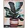 Potted Plant II 30"W x 40"H Hand Embellished Framed Canvas Wall A