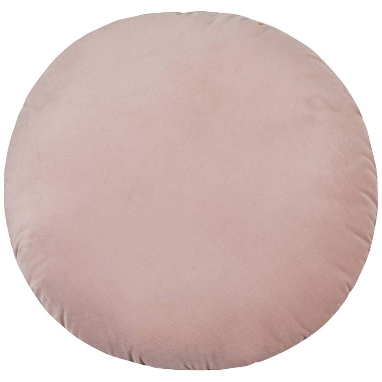 Image 1 Potter Blush Velvet 20 inch Round Decorative Pillow