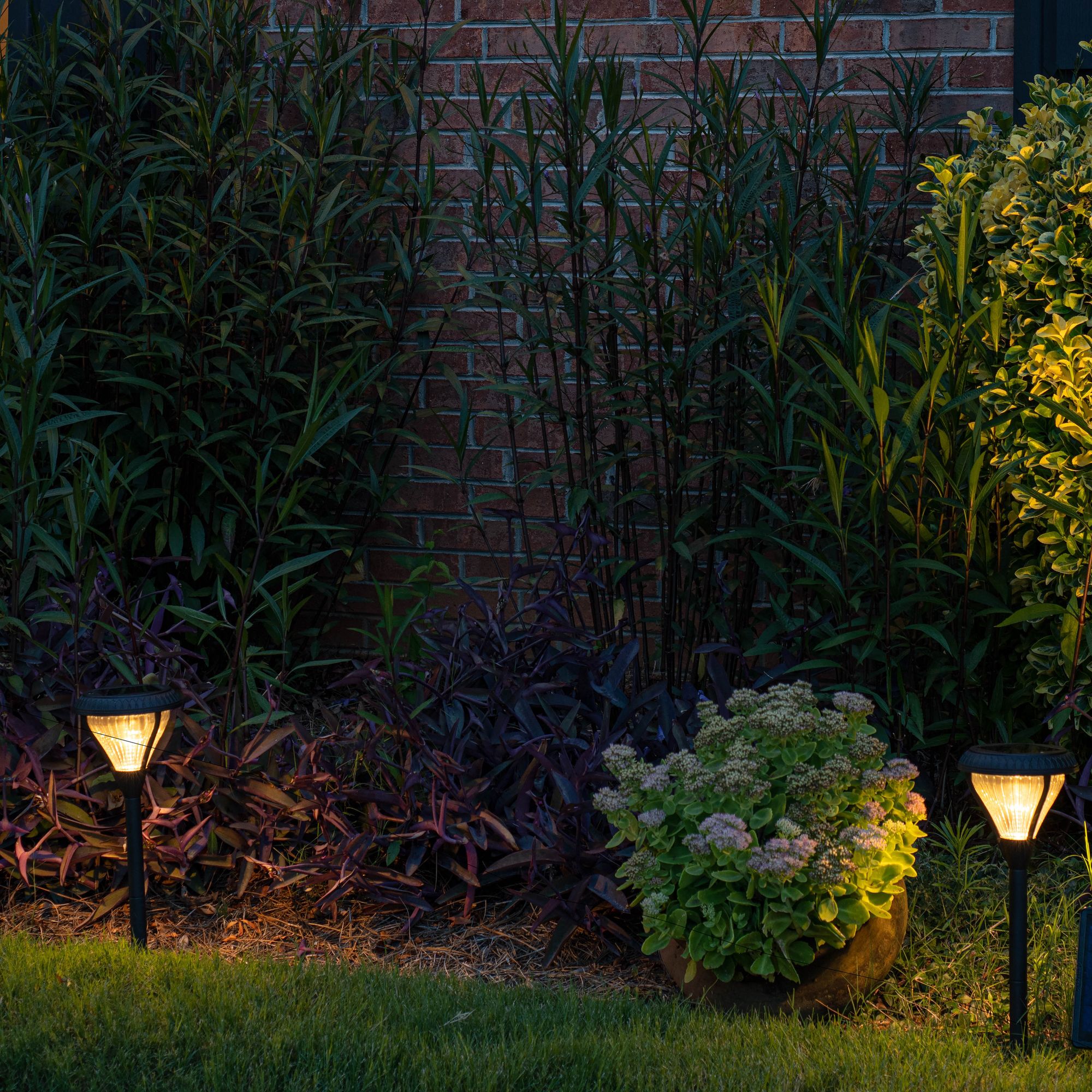 Premier 23 1/2" High Black LED Solar Garden Lights Set of 4