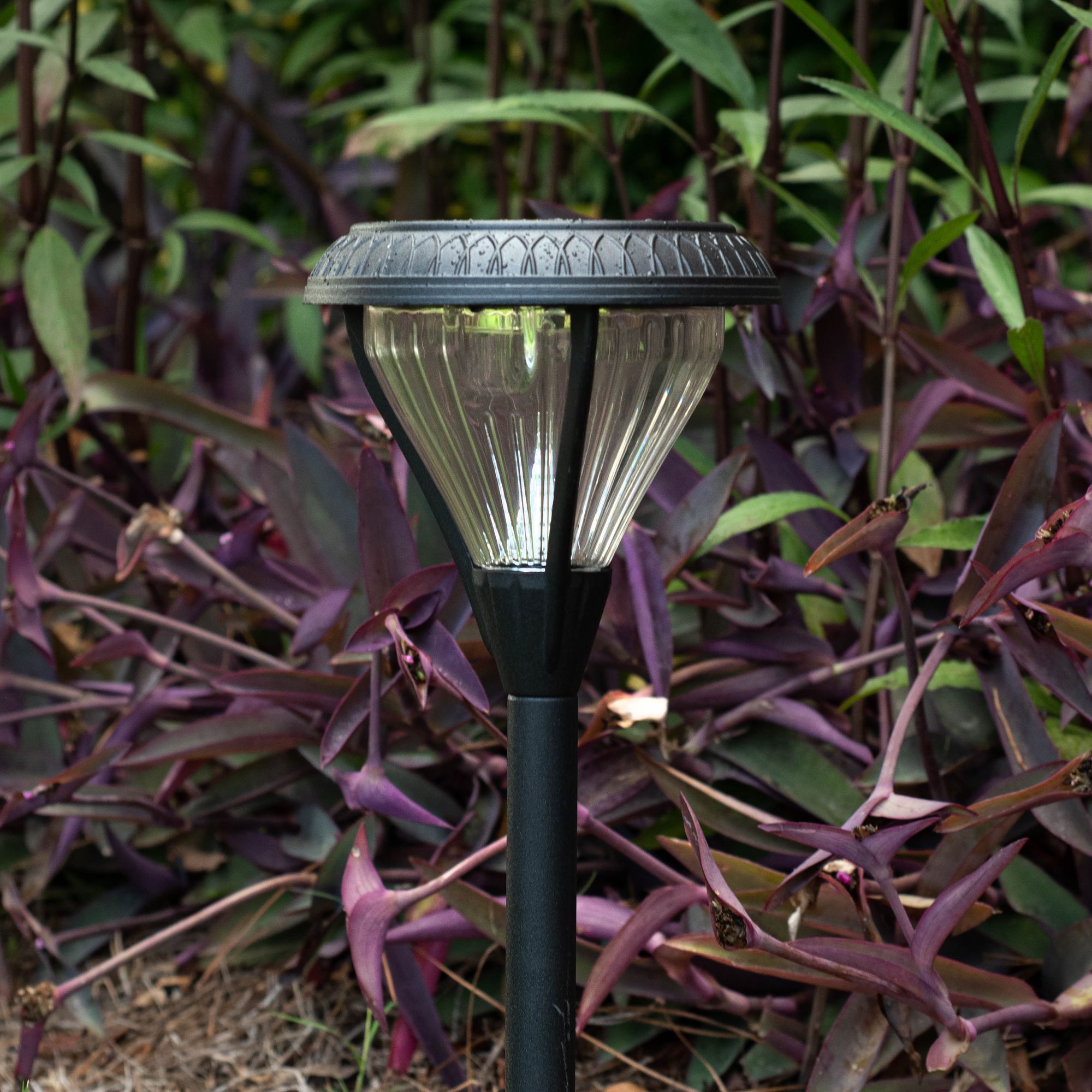 Premier 23 1/2" High Black LED Solar Garden Lights Set of 4