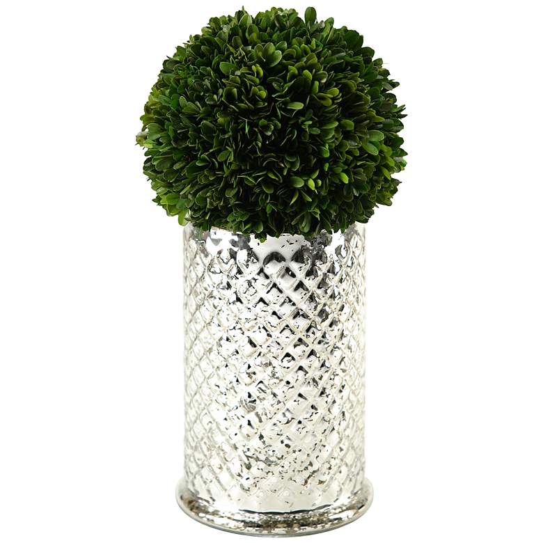Image 1 Preserved Boxwood Ball in Quilted Glass Vase