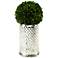 Preserved Boxwood Ball in Quilted Glass Vase