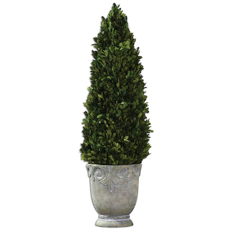 Image 1 Preserved Boxwood Cone Topiary
