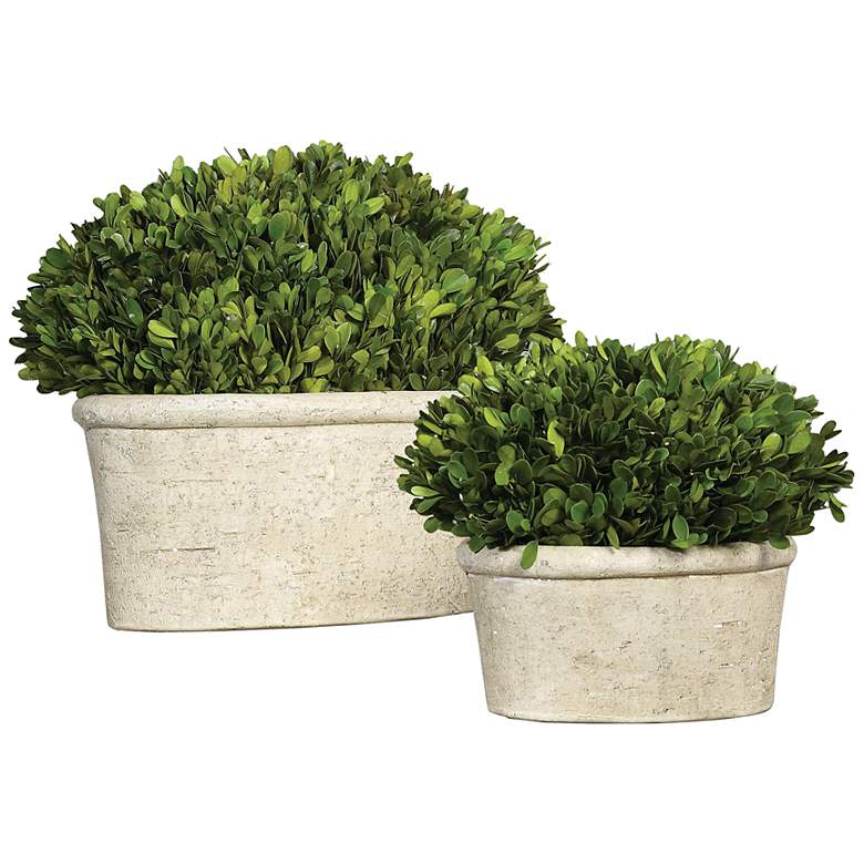 Image 2 Preserved Boxwood Green Foliage 14 inchW Faux Planters Set of 2