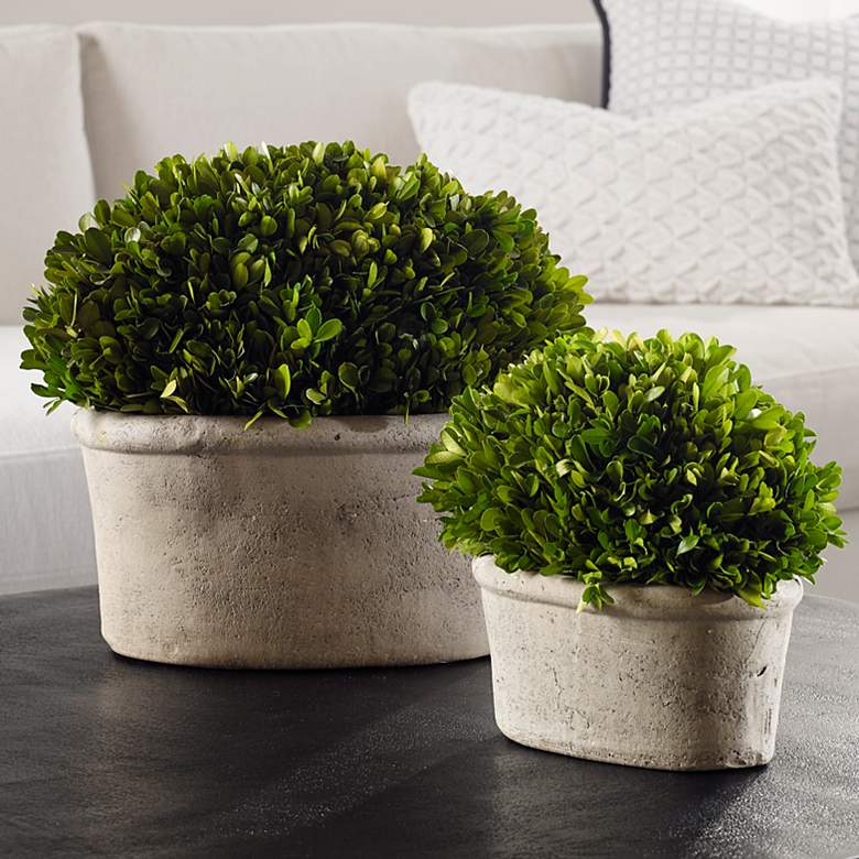 Image 1 Preserved Boxwood Green Foliage 14"W Faux Planters Set of 2