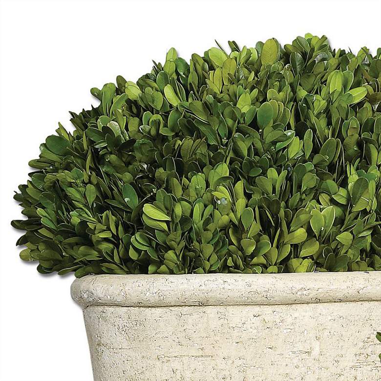 Image 3 Preserved Boxwood Green Foliage 14"W Faux Planters Set of 2 more views