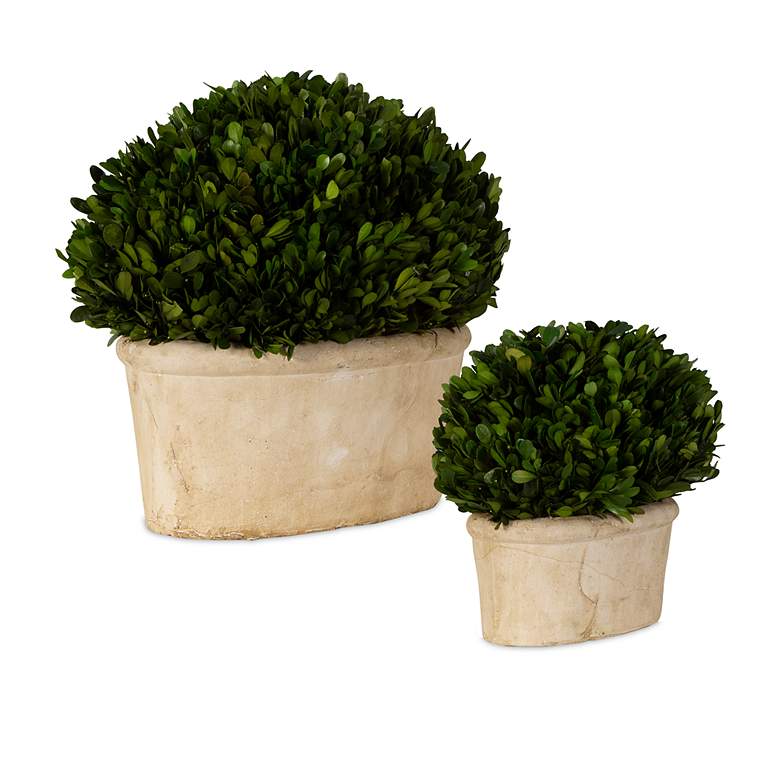 Image 4 Preserved Boxwood Green Foliage 14"W Faux Planters Set of 2 more views