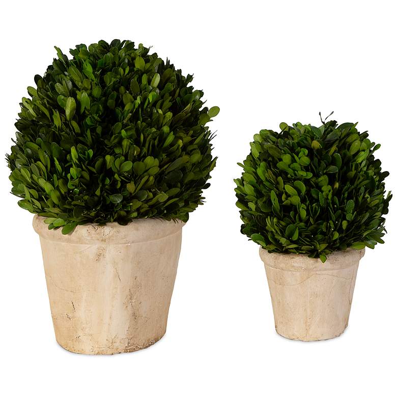 Image 5 Preserved Boxwood Green Foliage 14 inchW Faux Planters Set of 2 more views