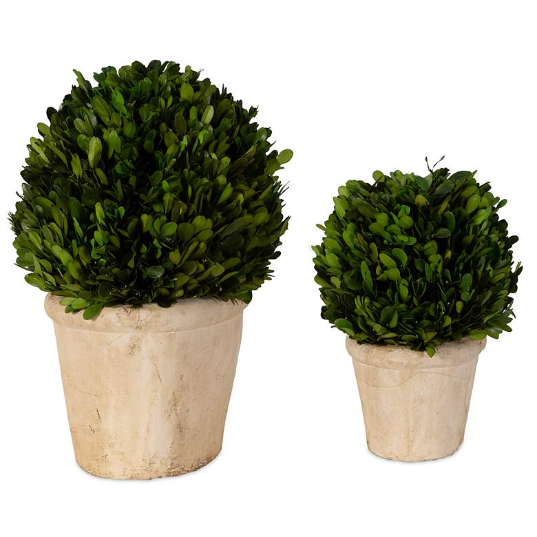 Image 5 Preserved Boxwood Green Foliage 14"W Faux Planters Set of 2 more views