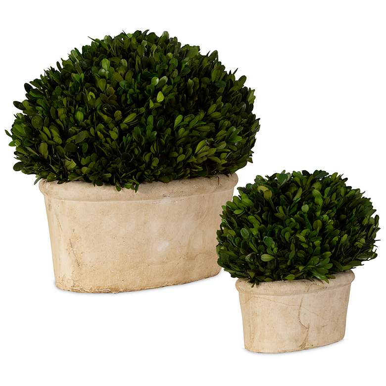 Image 6 Preserved Boxwood Green Foliage 14 inchW Faux Planters Set of 2 more views