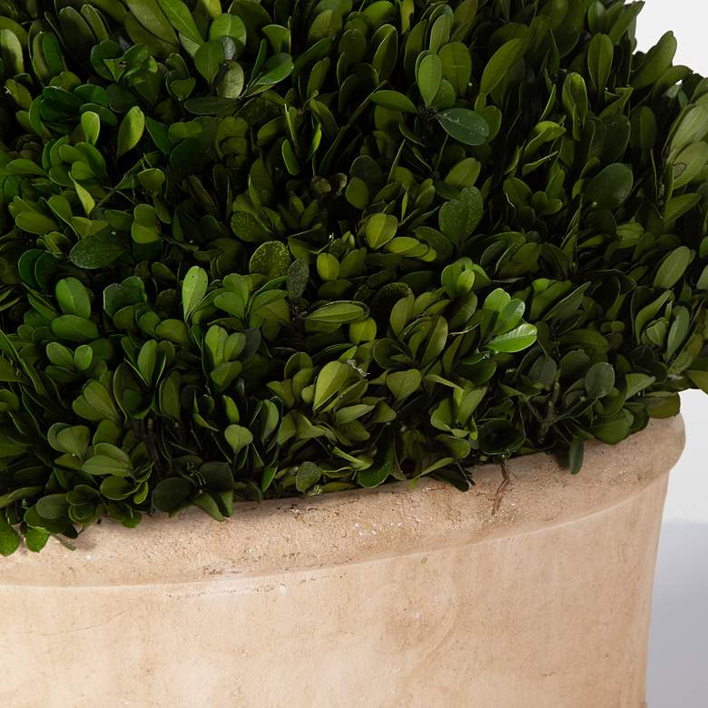 Image 6 Preserved Boxwood Green Foliage 14"W Faux Planters Set of 2 more views