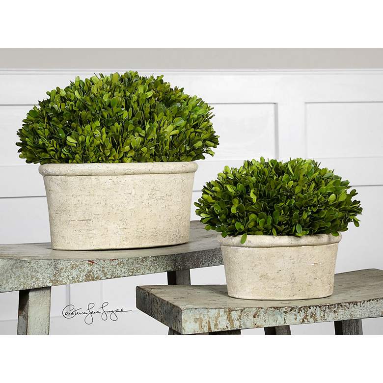 Image 7 Preserved Boxwood Green Foliage 14 inchW Faux Planters Set of 2 more views