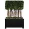 Preserved Boxwood Topiary 18"H Faux Plant in Rectangular Pot