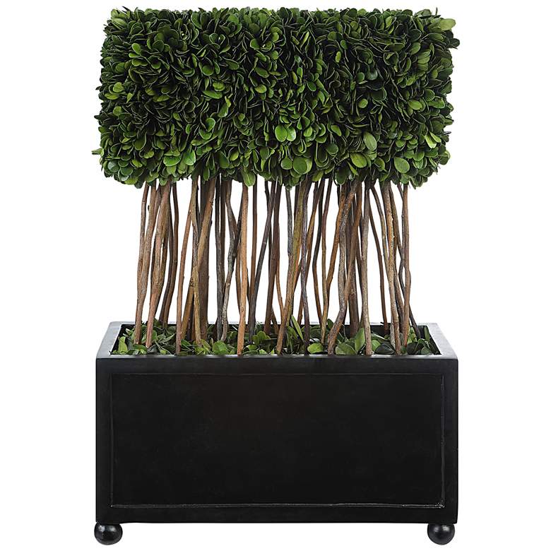 Image 1 Preserved Boxwood Topiary 18 inchH Faux Plant in Rectangular Pot