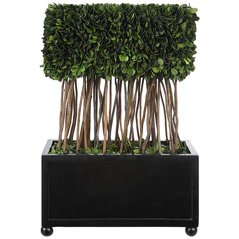 Image 1 Preserved Boxwood Topiary 18"H Faux Plant in Rectangular Pot