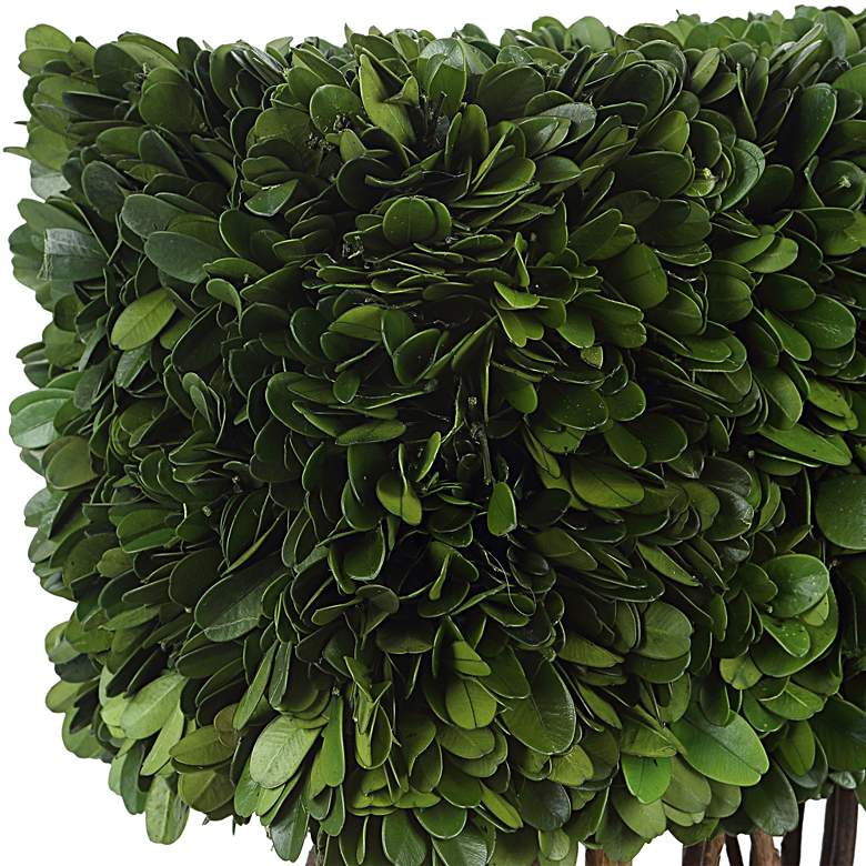 Image 3 Preserved Boxwood Topiary 18 inchH Faux Plant in Rectangular Pot more views