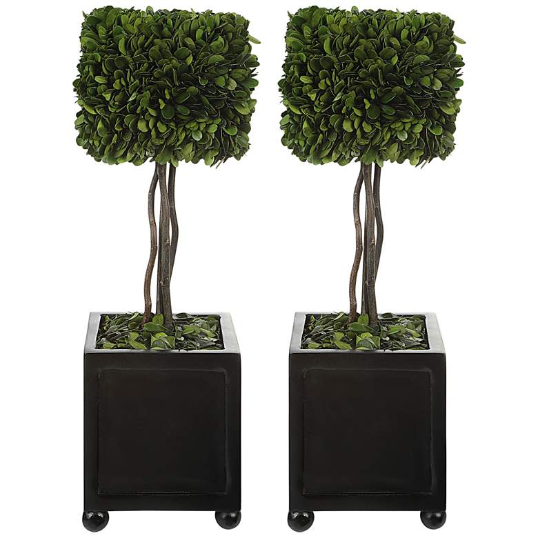 Image 1 Preserved Boxwood Topiary 19 inchH Faux Plant in Pots Set of 2