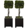 Preserved Boxwood Topiary 19"H Faux Plant in Pots Set of 2
