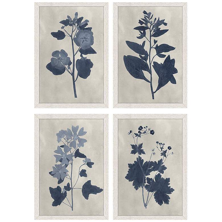 Image 1 Pressed Flower II 13"W x 19"H Framed Art Set of 4