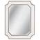 Preston 36" x 46" Antique Silver Wall Mirror