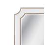 3_Preston 36" x 46" Antique Silver Wall Mirror more views