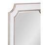 4_Preston 36" x 46" Antique Silver Wall Mirror more views
