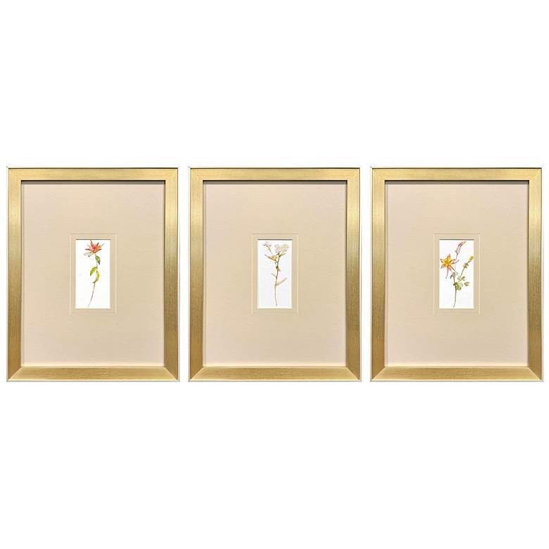 Image 1 Pretty Florals II 14"W x 17"H Framed Wall Art Set of 3