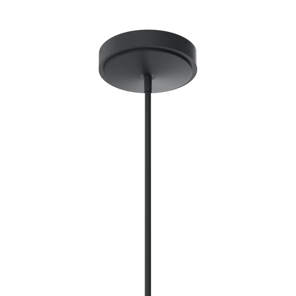 Image 5 Priam Matte Black Chandelier/Pendant more views