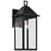 Prin 16.75 Inch 1 Light Outdoor Wall Light with Clear Glass in Black