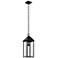Prin 22 Inch 1 Light Outdoor Pendant with Clear Glass in Black