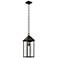 Prin 22 Inch 1 Light Outdoor Pendant with Clear Glass in Olde Bronze