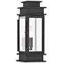 1_Princeton 14" High Black Outdoor Wall Light
