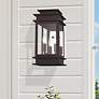 1_Princeton 14" High Bronze 2-Light Outdoor Wall Light
