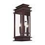 5_Princeton 19" High Bronze Outdoor Wall Light more views