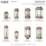 Princeton 20 1/4" High Vintage Pewter Outdoor Wall Light