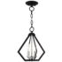 Prism 2 Light Black Convertible Mini Chandelier/Ceiling Mount