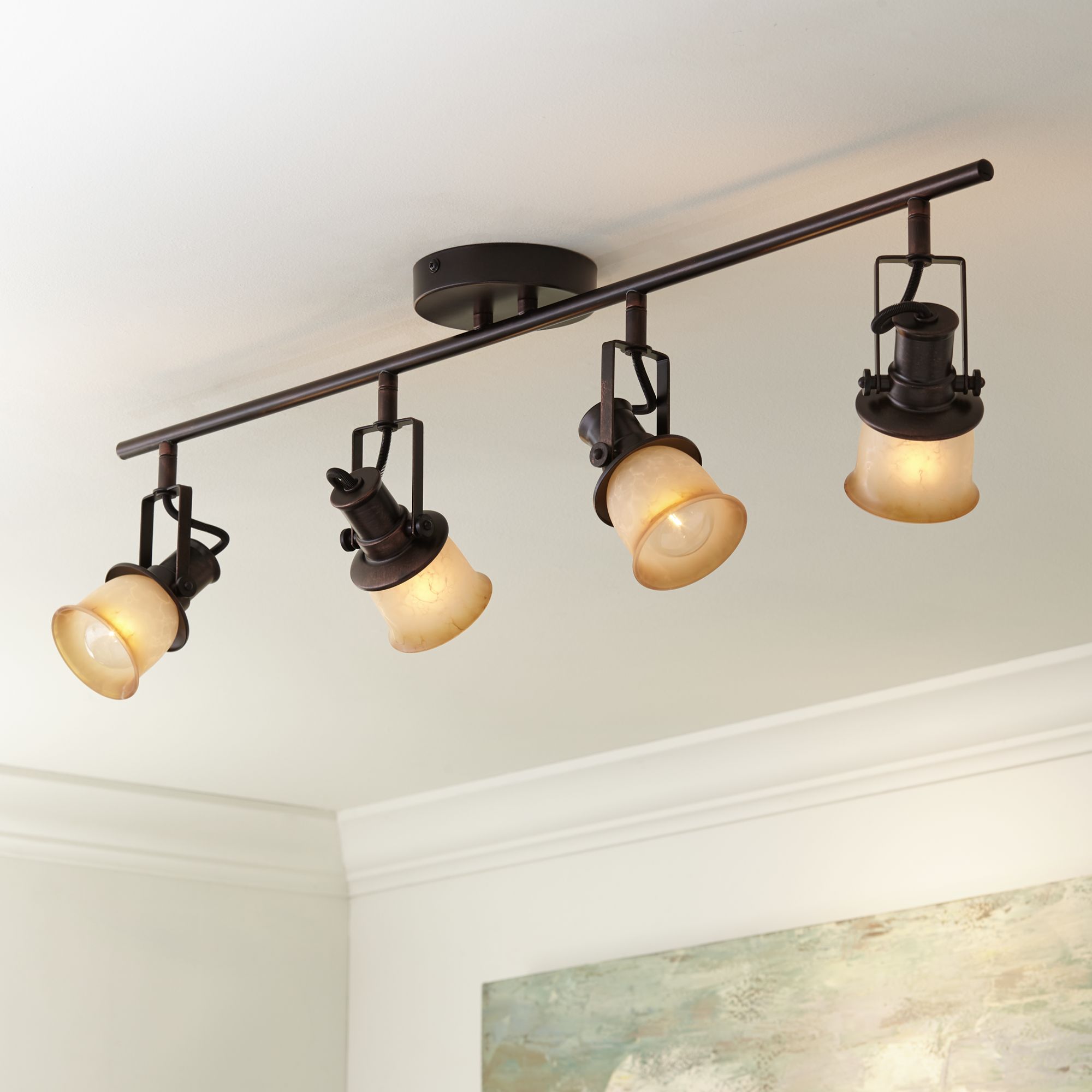 4 light track lighting fixture